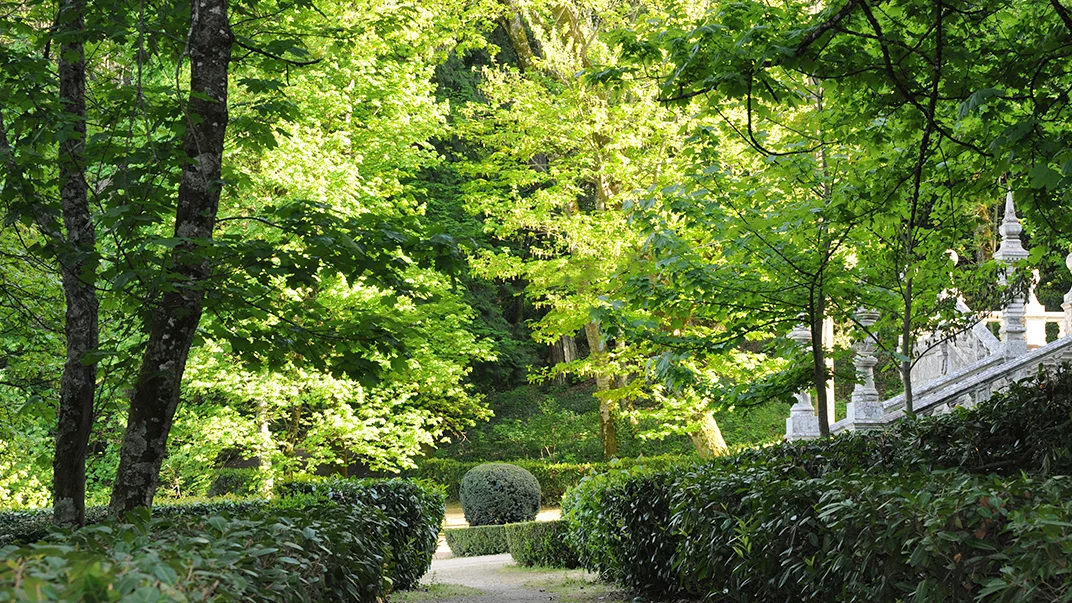 Parque Santuário Remédios